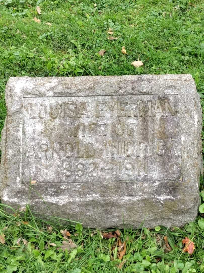 Louisa M. Widrick Eyerman's grave. Photo 3