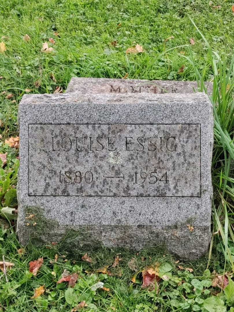 Louise Essig's grave. Photo 3