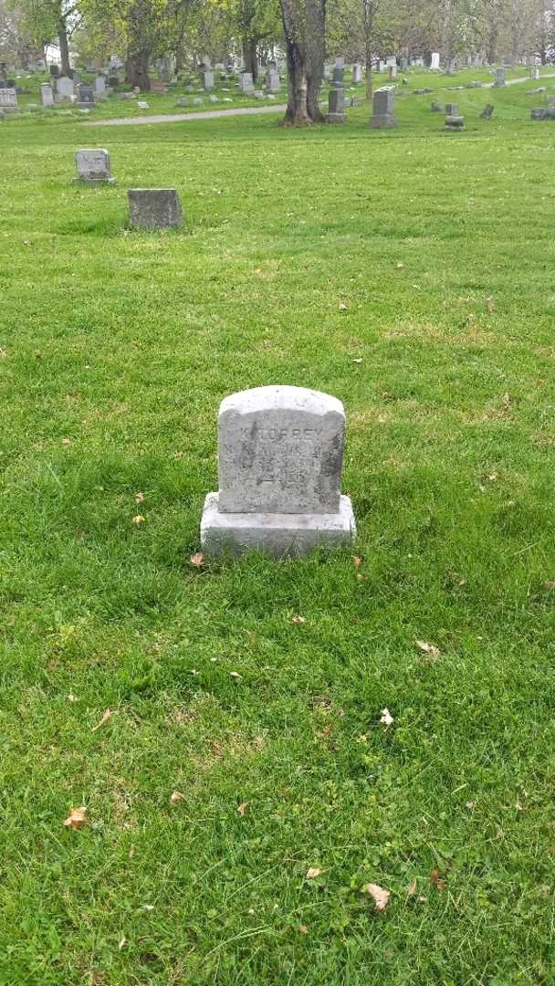 Karl Torrey's grave. Photo 2