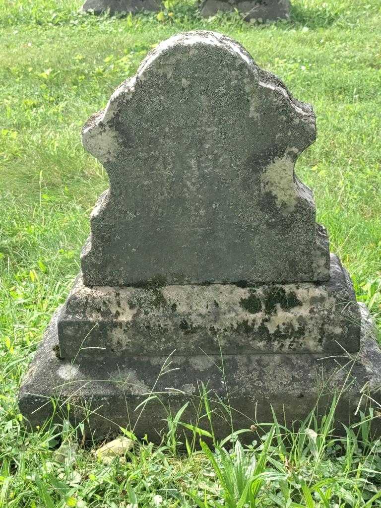 Edward Scheel's grave. Photo 2