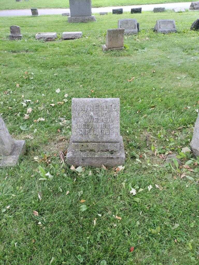 Katherine Weber's grave. Photo 2
