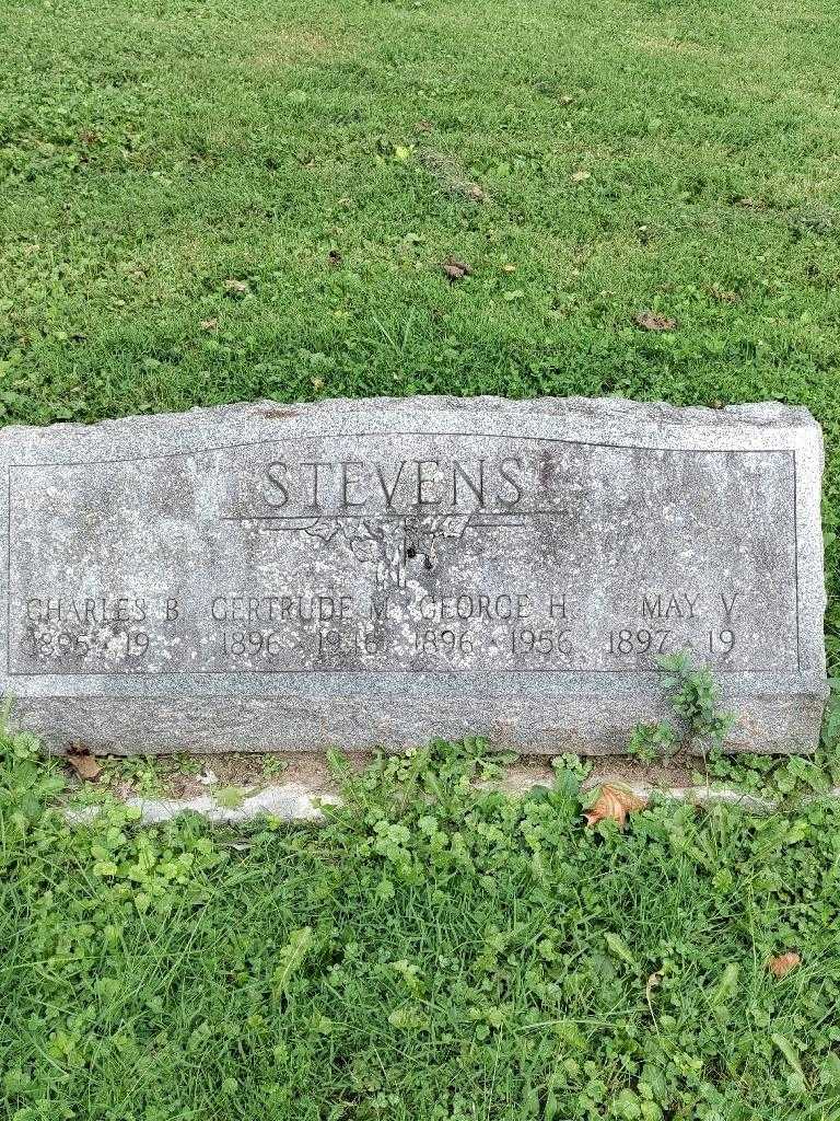 George H. Stevens's grave. Photo 3