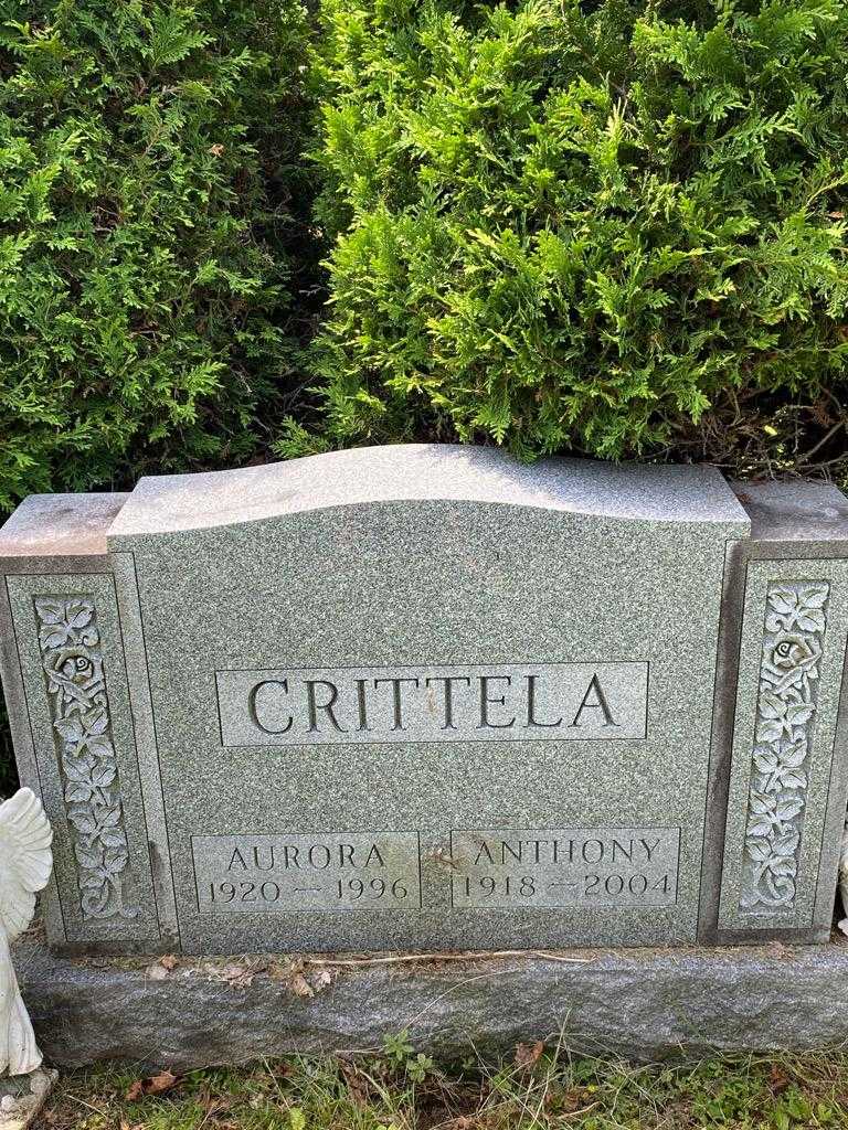 Anthony Crittela's grave. Photo 3