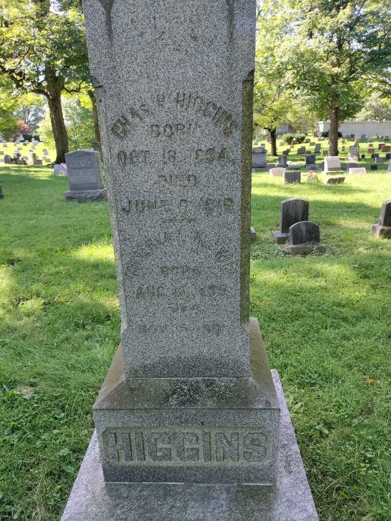 Alvin Higgins's grave. Photo 1