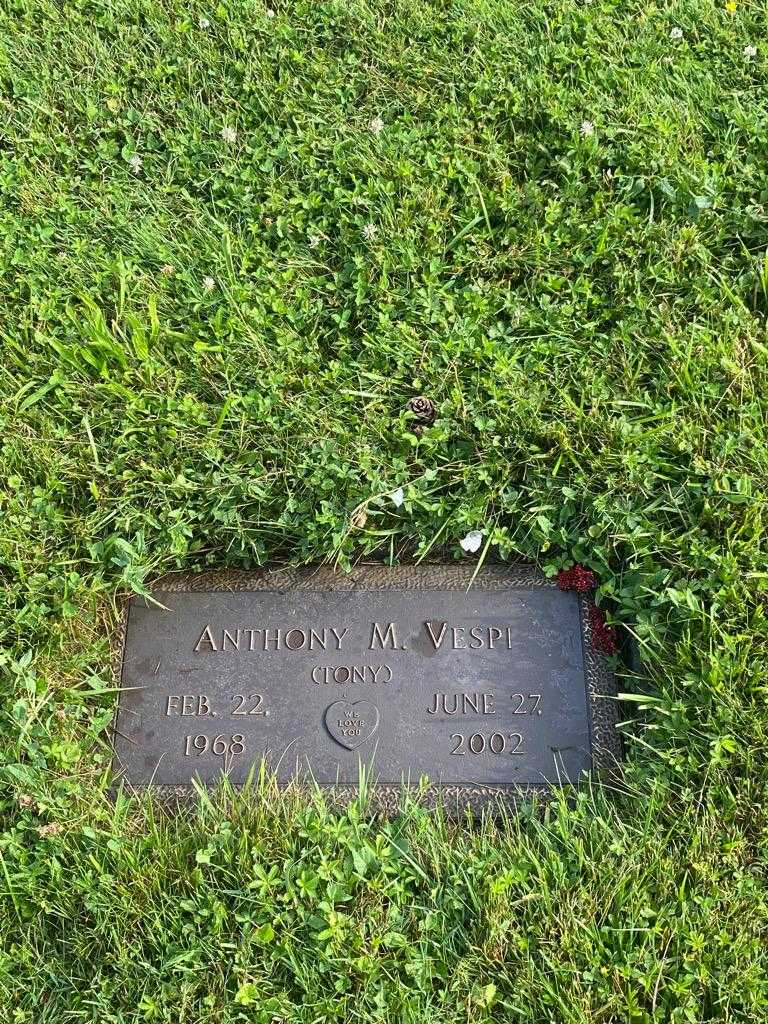 Anthony M. "Ton" Vespi's grave. Photo 3