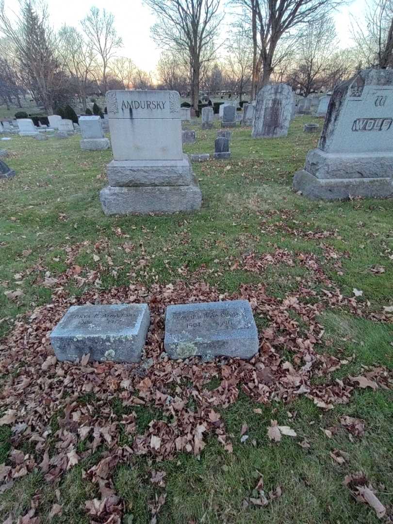 Leonard H. Amdursky's grave. Photo 1