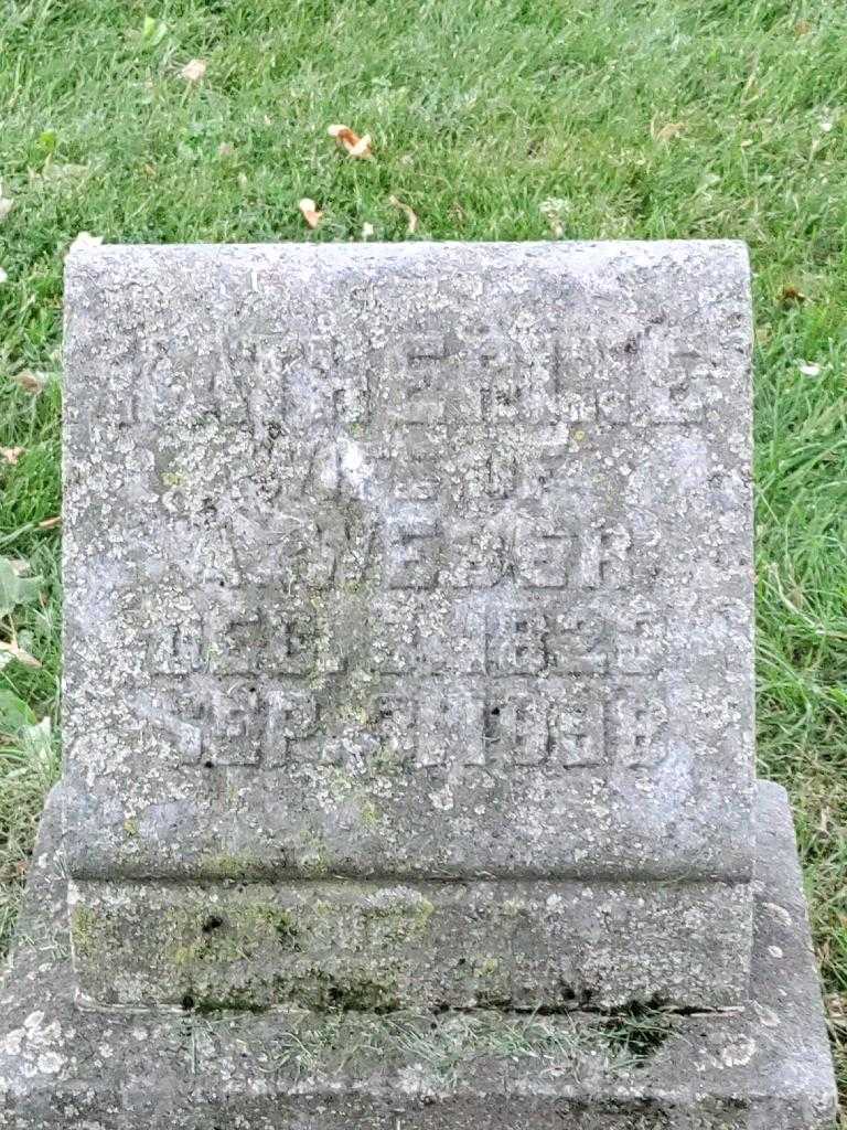 Katherine Weber's grave. Photo 3