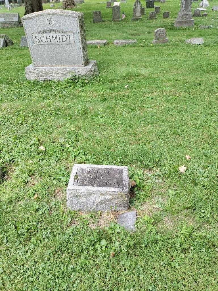 Carl Schmidt's grave. Photo 1