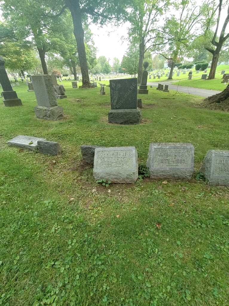 Carrie Revers's grave. Photo 1