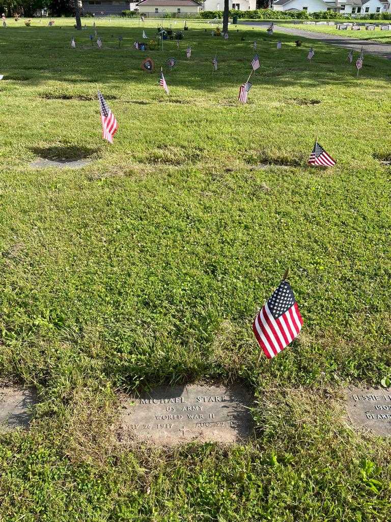 Michael Stark's grave. Photo 2