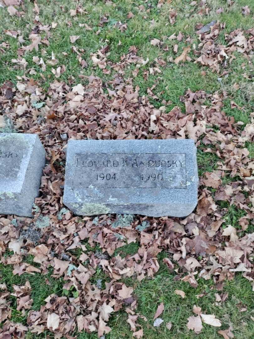 Leonard H. Amdursky's grave. Photo 2