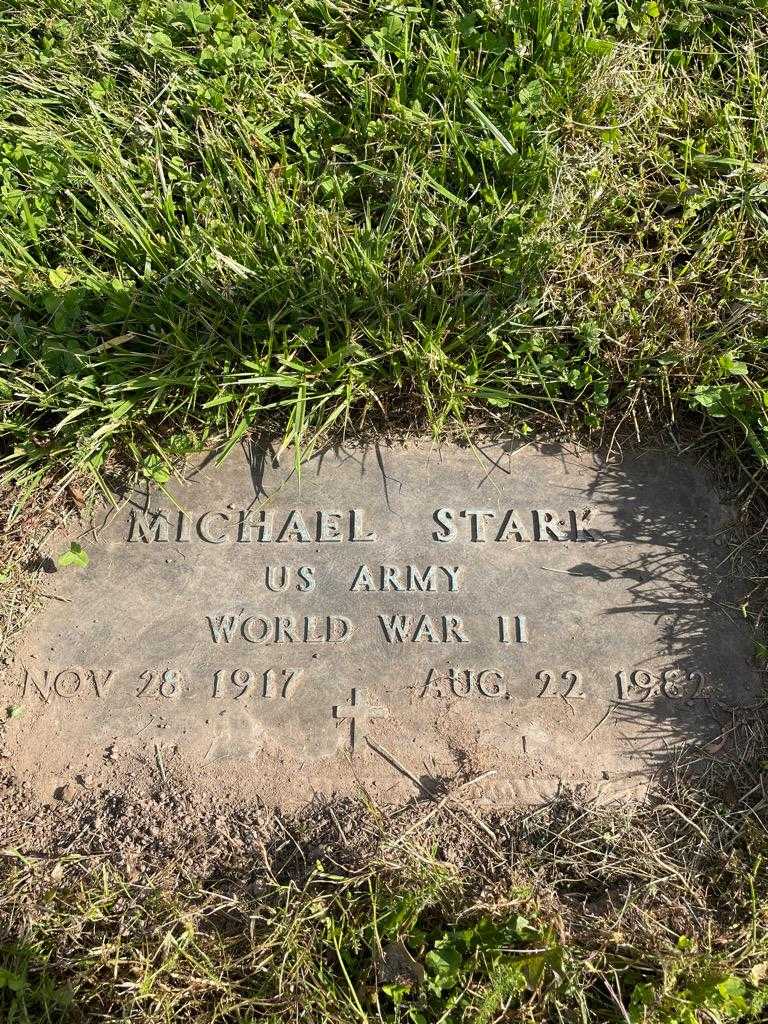 Michael Stark's grave. Photo 1