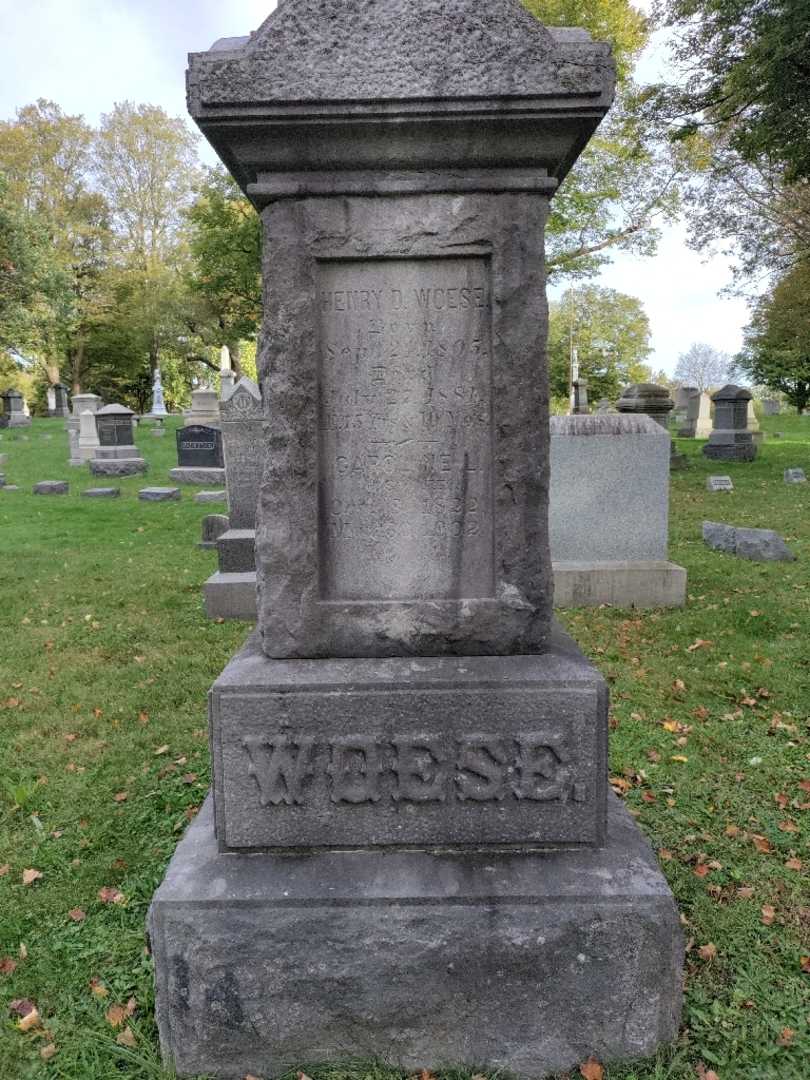 Henry D. Woese's grave. Photo 2