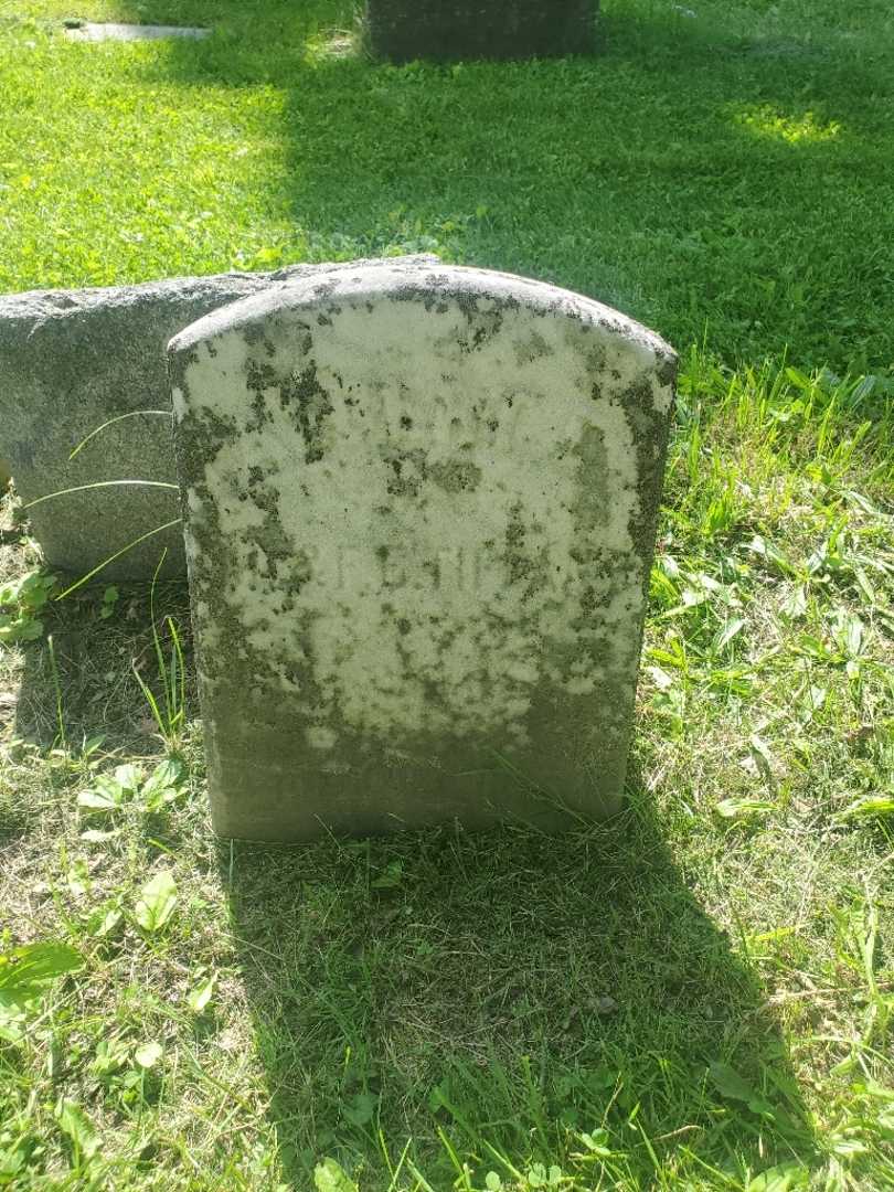 David L. Tiffany's grave. Photo 1