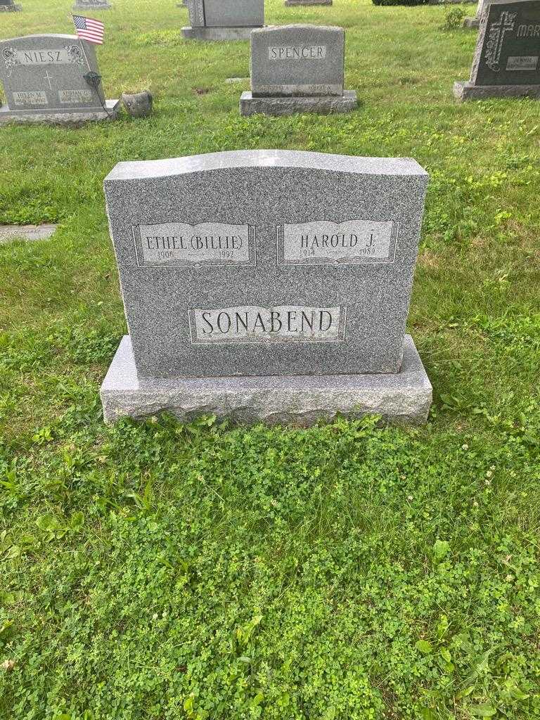 Harold J. Sonabend's grave. Photo 2