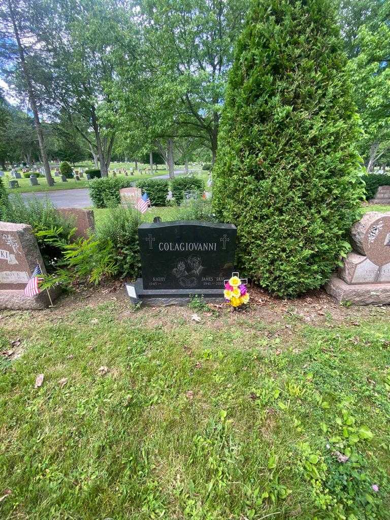 James "Skip" Colagiovanni's grave. Photo 1