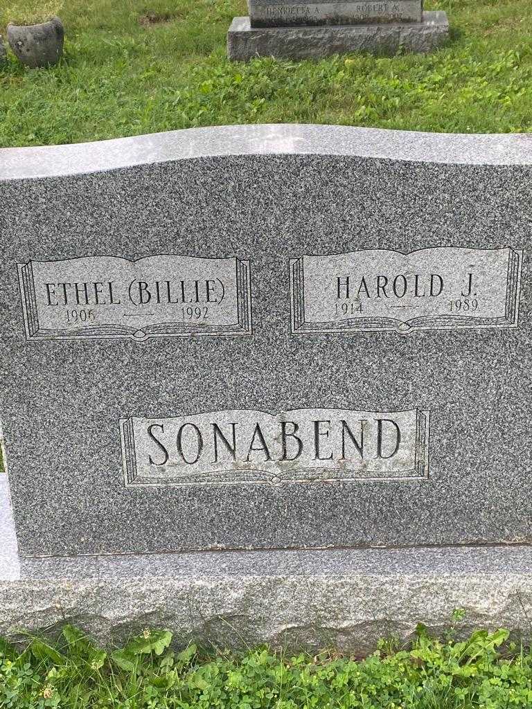 Harold J. Sonabend's grave. Photo 3