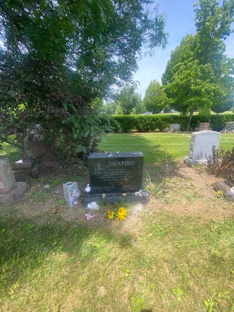 Melba Krause Shapiro's grave. Photo 1