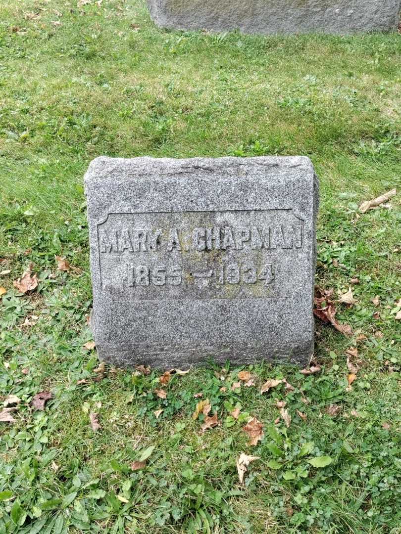 Mary Amelia Chapman's grave. Photo 4