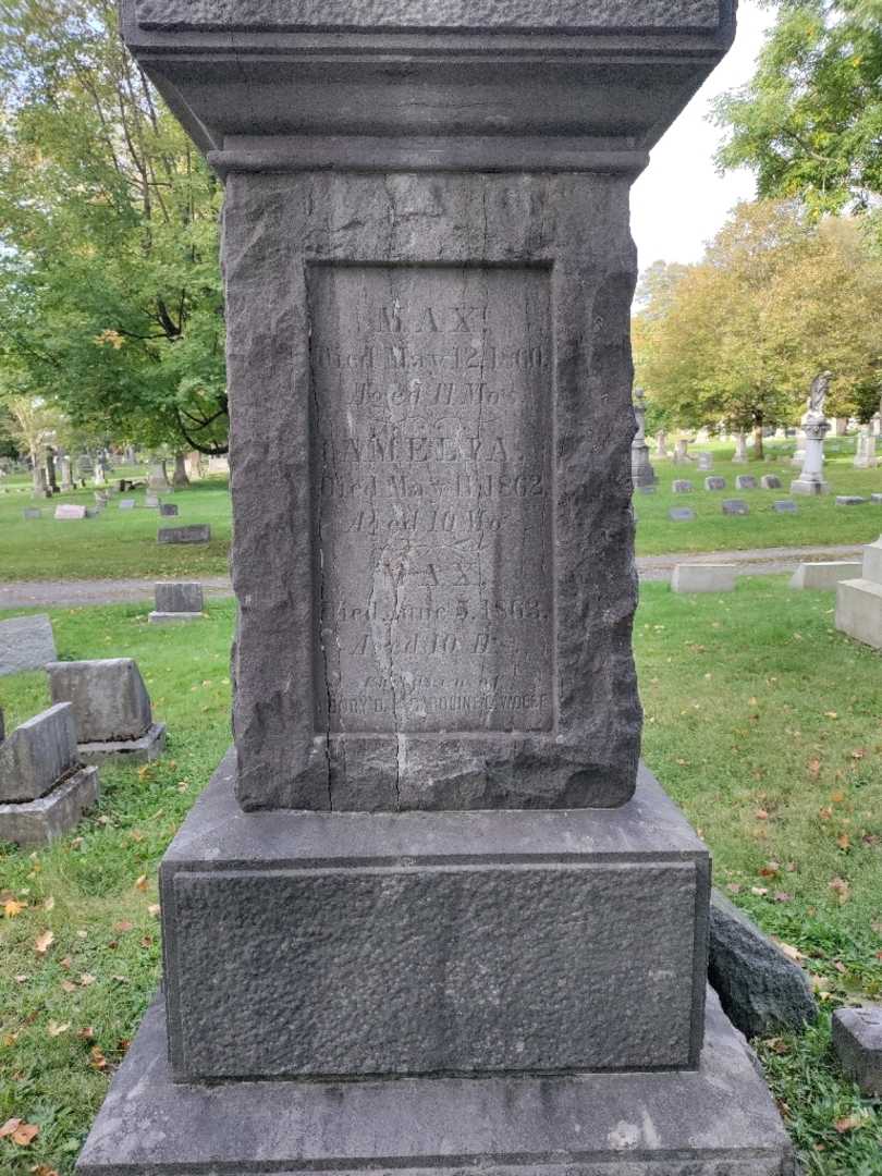 Amelia Woese's grave. Photo 2