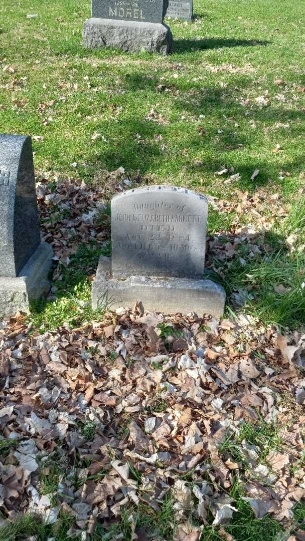 Nettie Barnett's grave. Photo 2