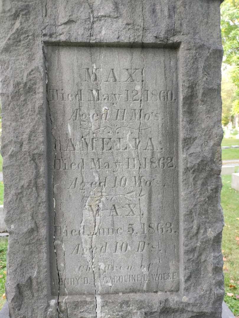 Amelia Woese's grave. Photo 3