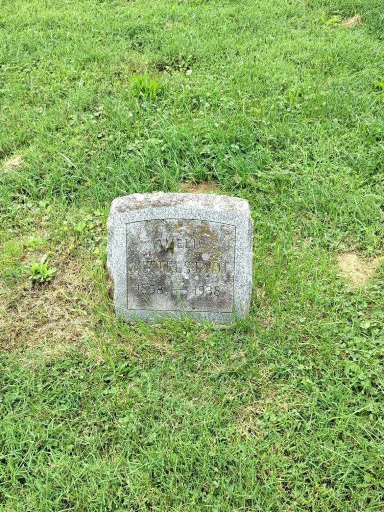 Amelie Mittelstadt's grave. Photo 2