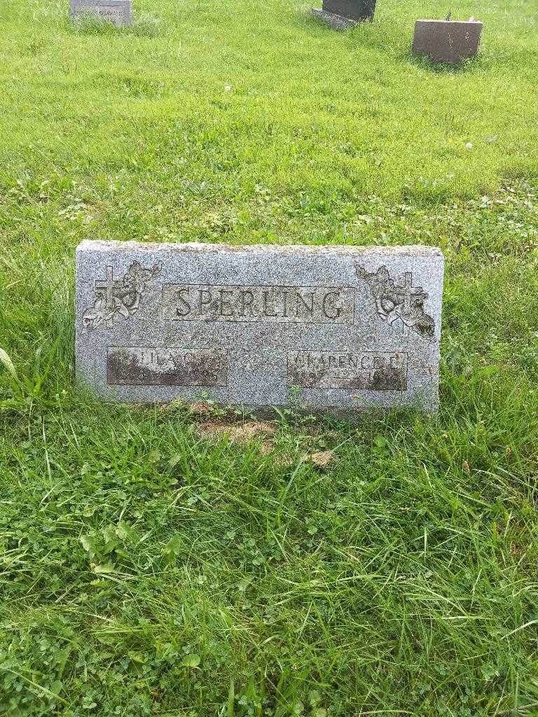 Clarence E. Sperling's grave. Photo 1