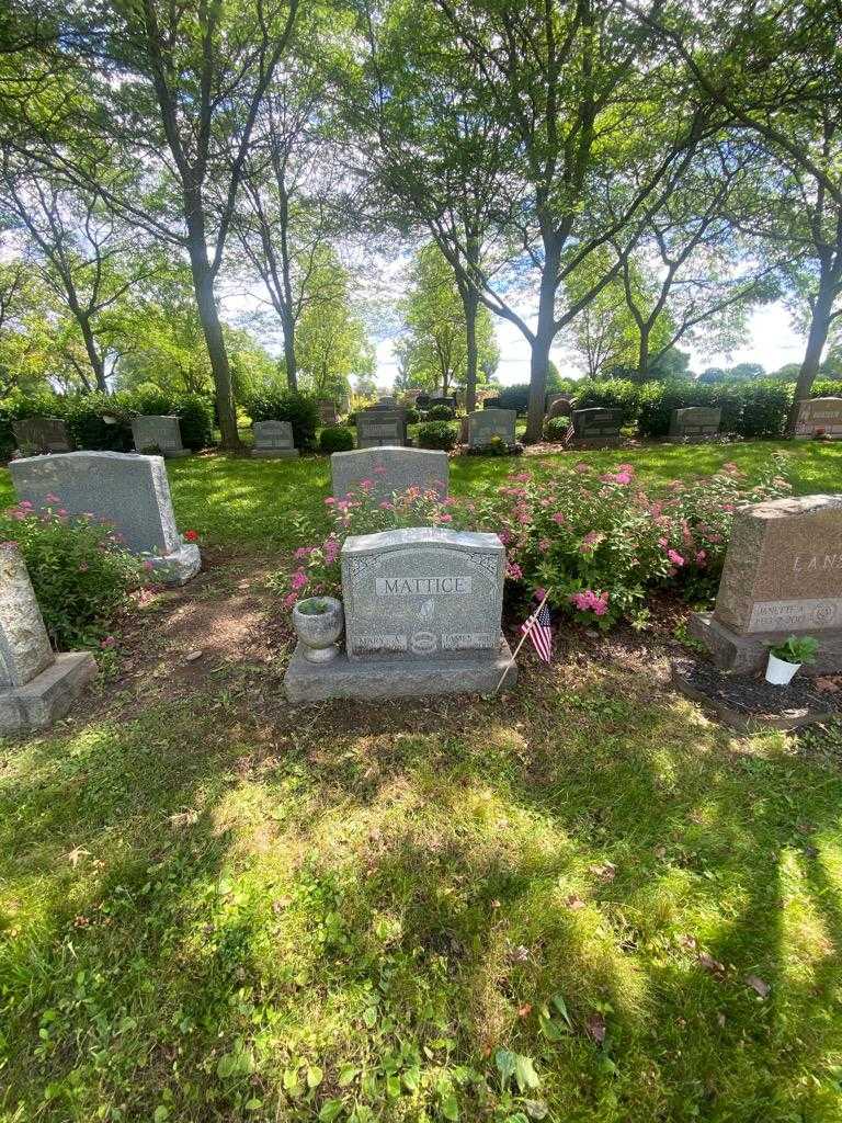 James "Red" Mattice's grave. Photo 1