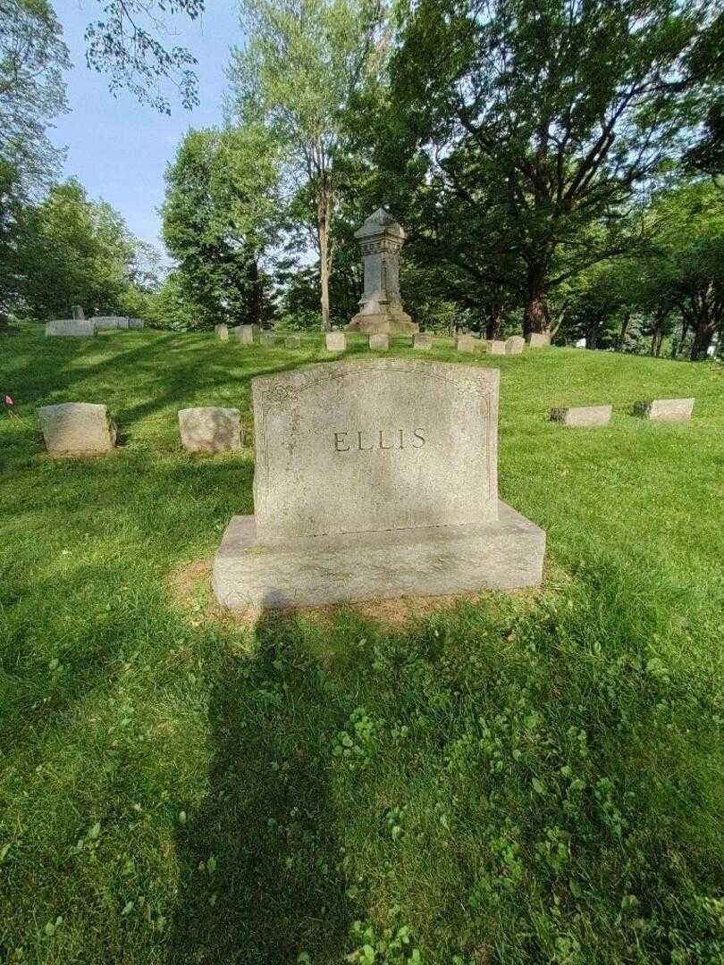 Robert William Ellis's grave. Photo 4