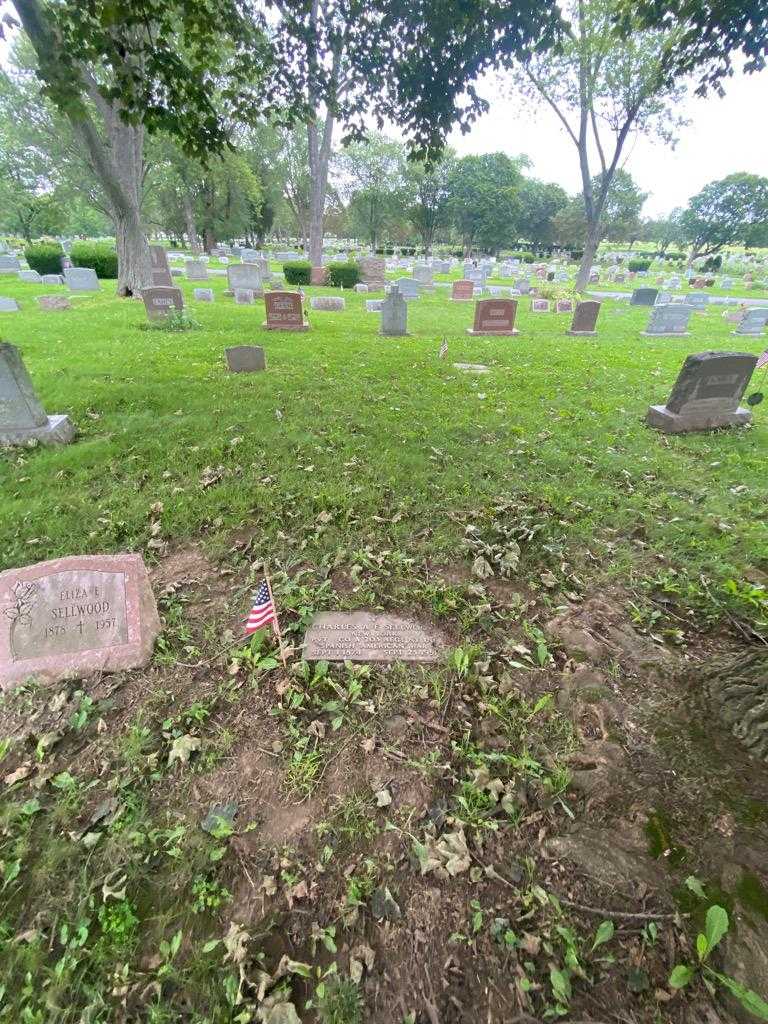 Charles A. E. Sellwood's grave. Photo 1