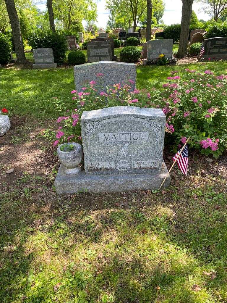 James "Red" Mattice's grave. Photo 2
