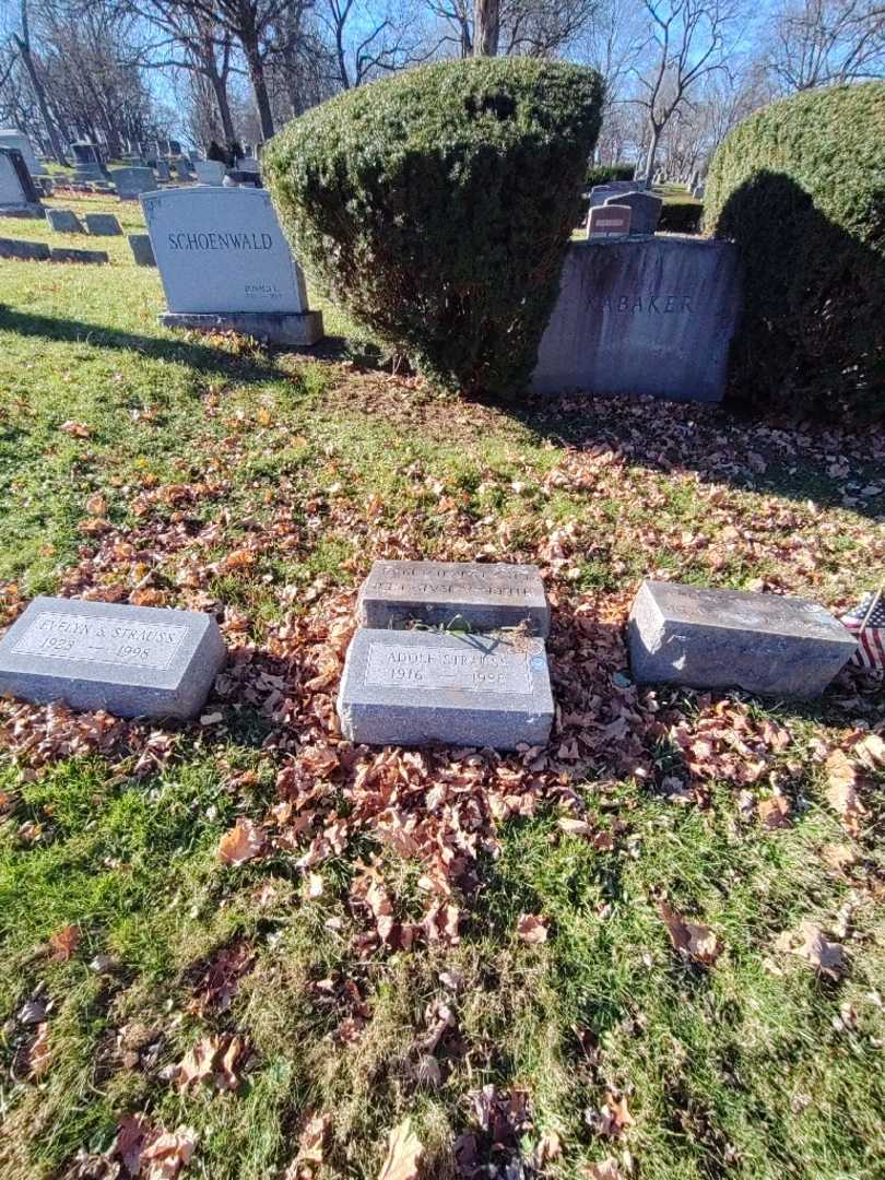 Adolf Strauss's grave. Photo 1