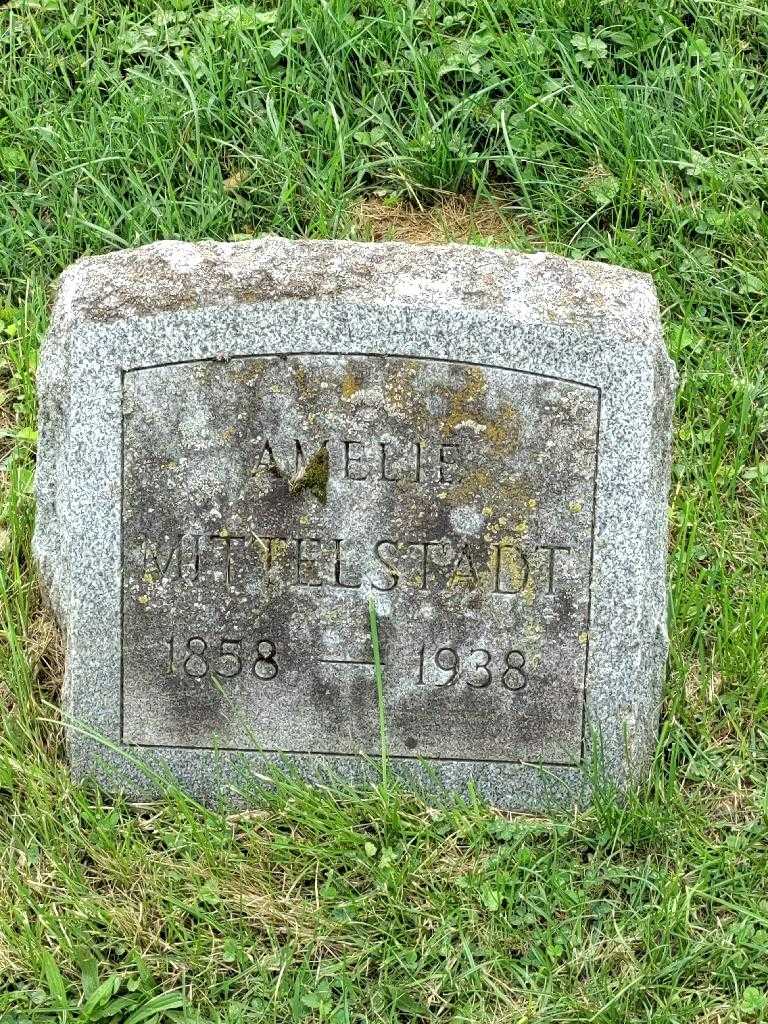 Amelie Mittelstadt's grave. Photo 3