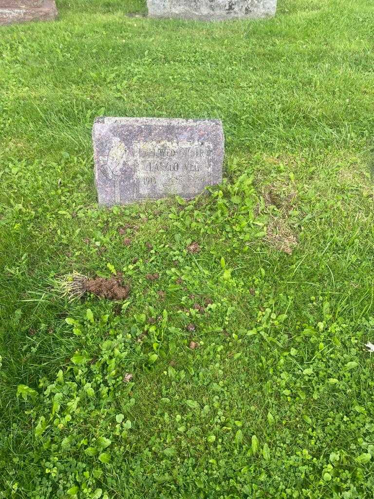 Laszlo Veg's grave. Photo 2