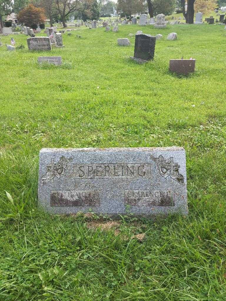 Clarence E. Sperling's grave. Photo 2