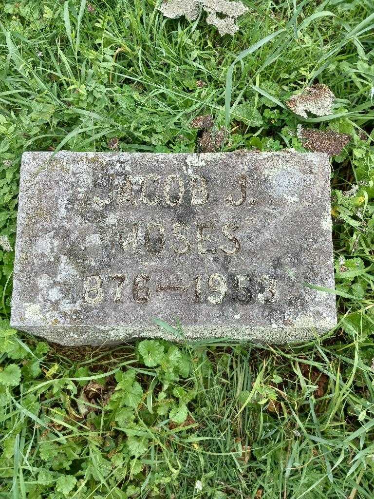 Jacob J. Moses's grave. Photo 3