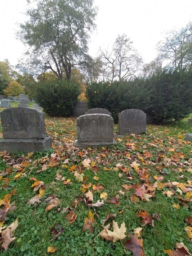 Laura E. Oberle's grave. Photo 1