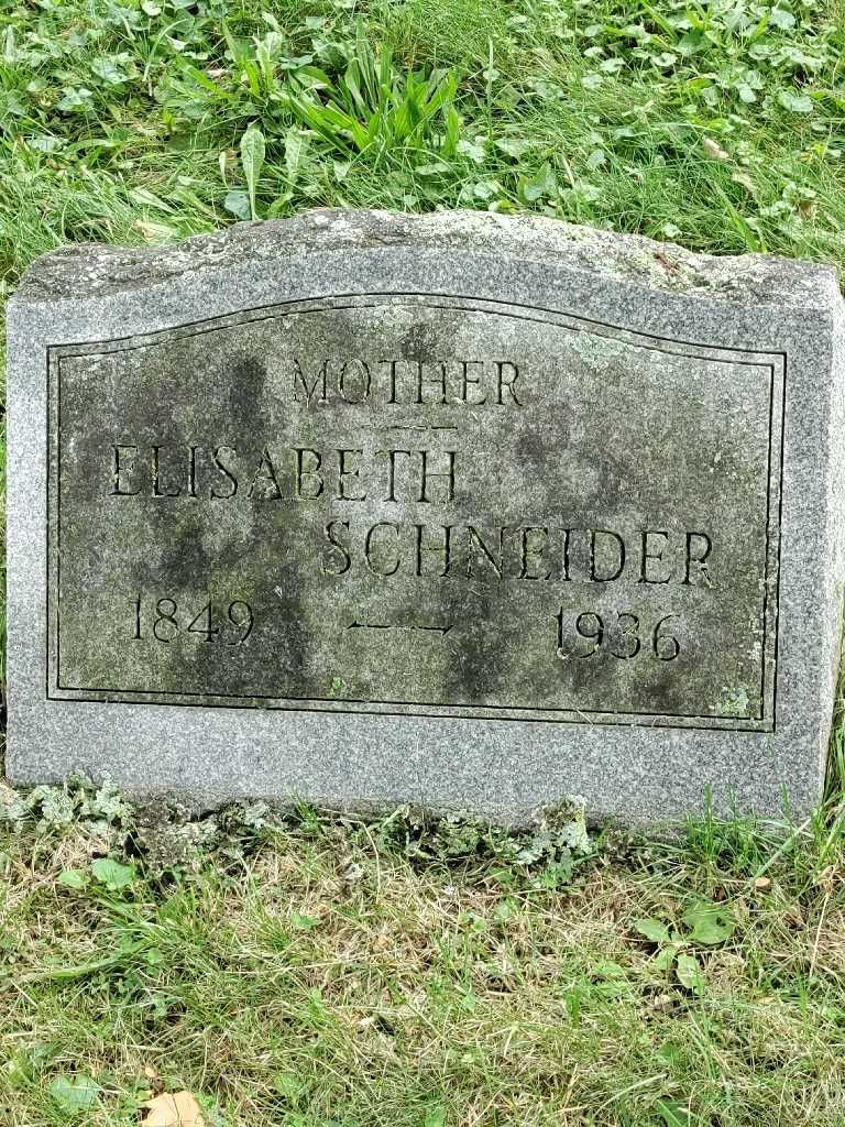 Elizabeth Schneider's grave. Photo 3