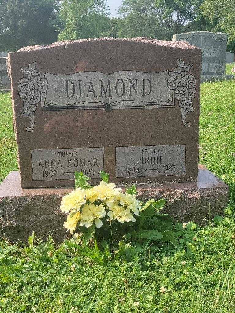 Anna Diamond Komar's grave. Photo 3