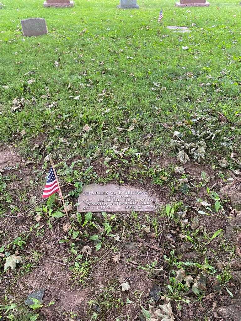 Charles A. E. Sellwood's grave. Photo 2