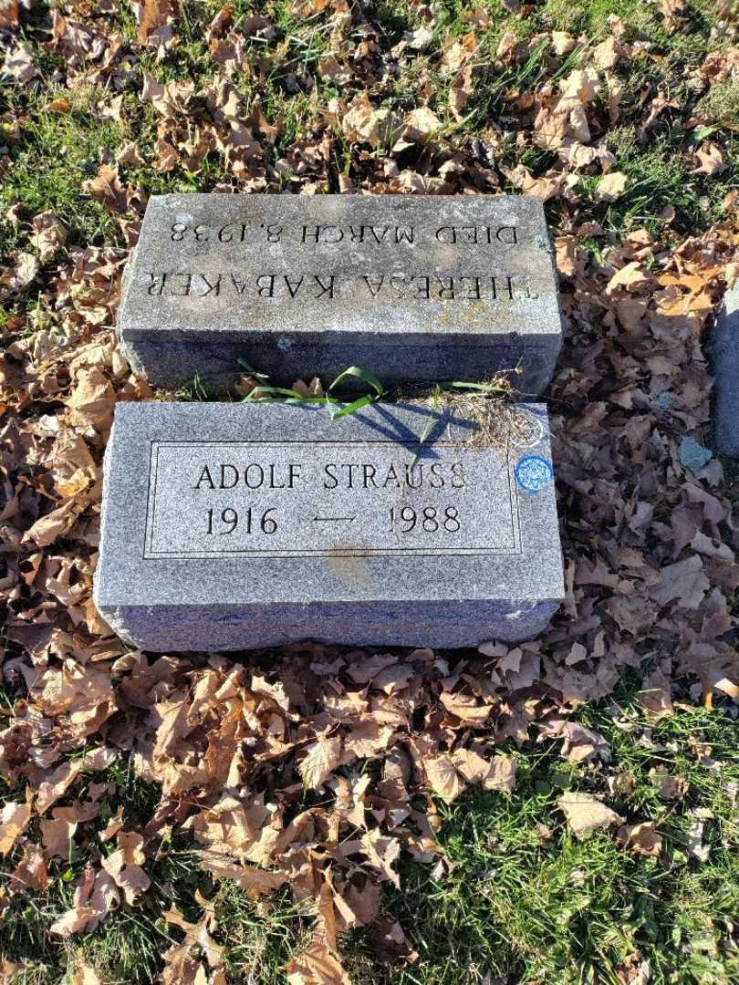 Adolf Strauss's grave. Photo 2
