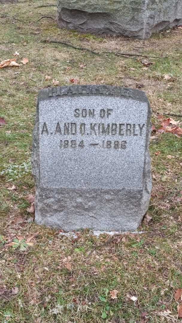 Eugene N. Stevens's grave. Photo 1