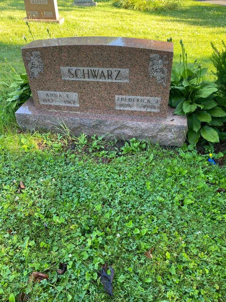 Frederick J. Schwarz's grave. Photo 2