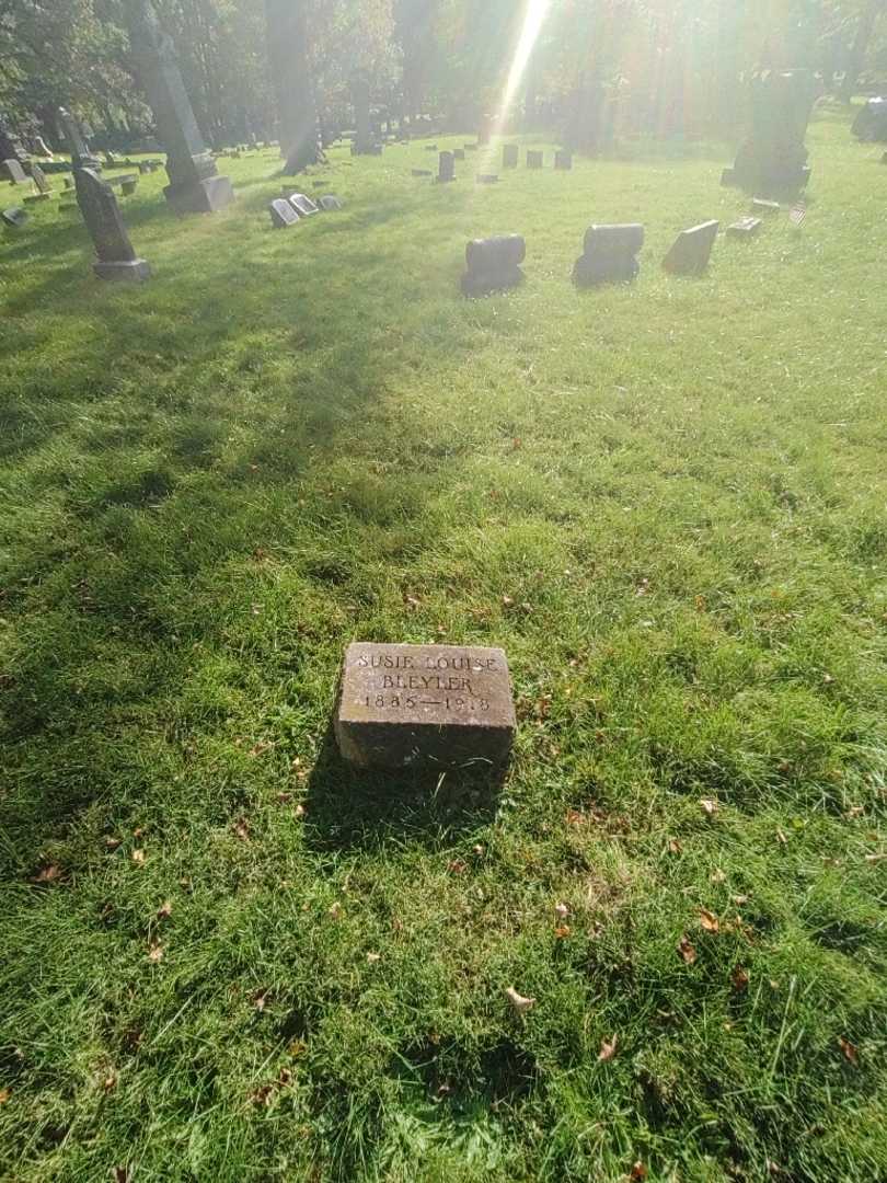 Susie Louise Bleyler's grave. Photo 1