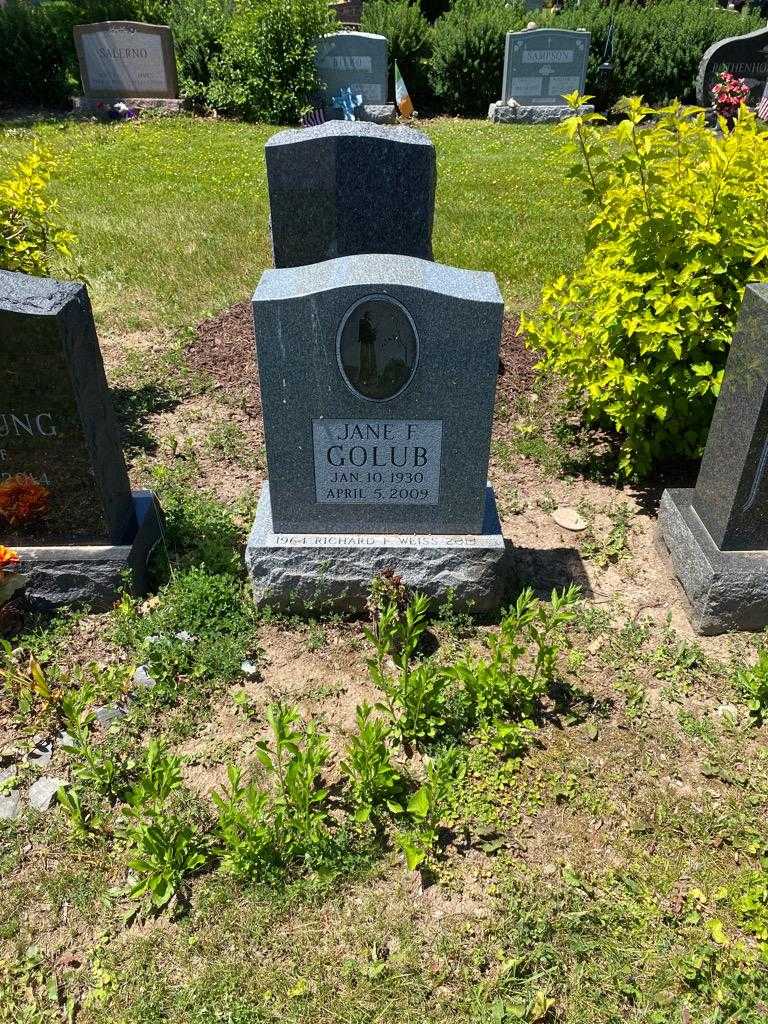 Jane F. Golub's grave. Photo 2