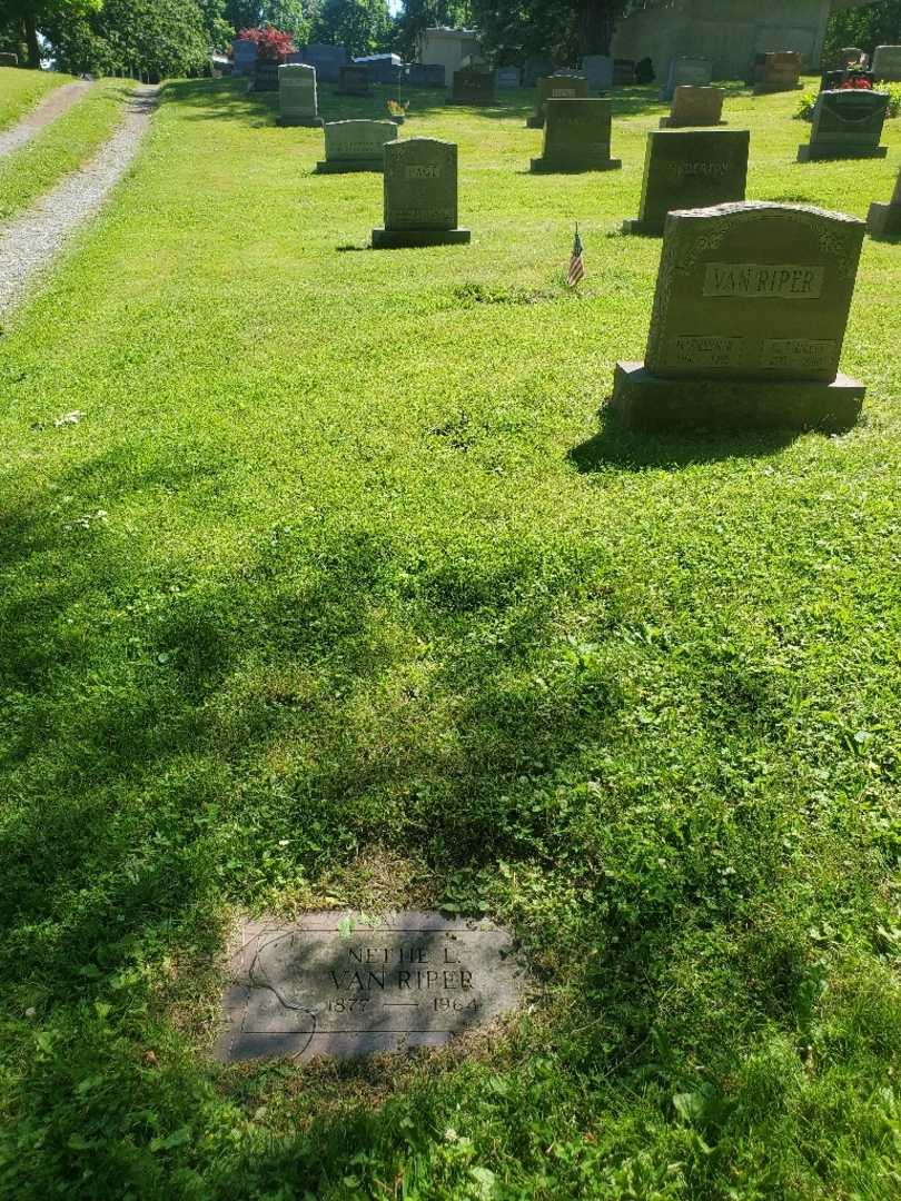 Nettie L. Van Riper's grave. Photo 2