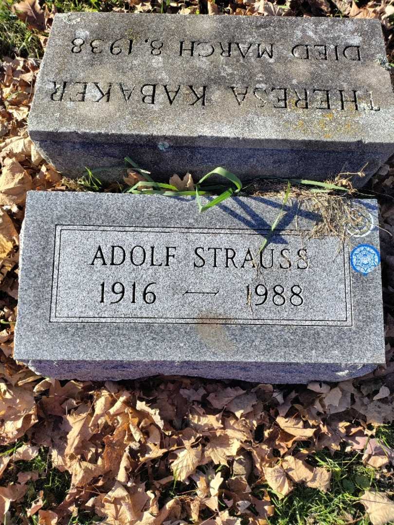 Adolf Strauss's grave. Photo 3