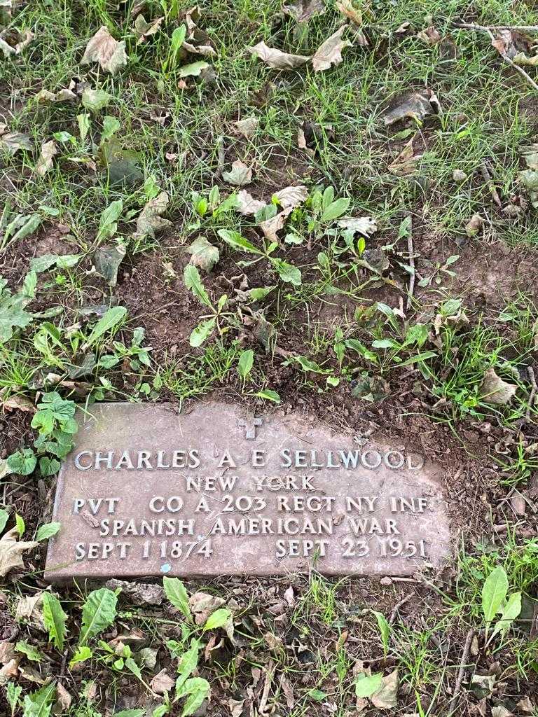 Charles A. E. Sellwood's grave. Photo 3