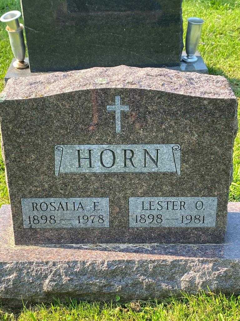 Lester O. Horn's grave. Photo 3